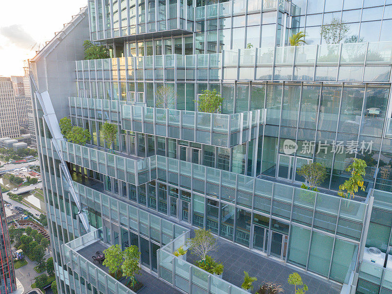 现代办公大楼上的绿色植物