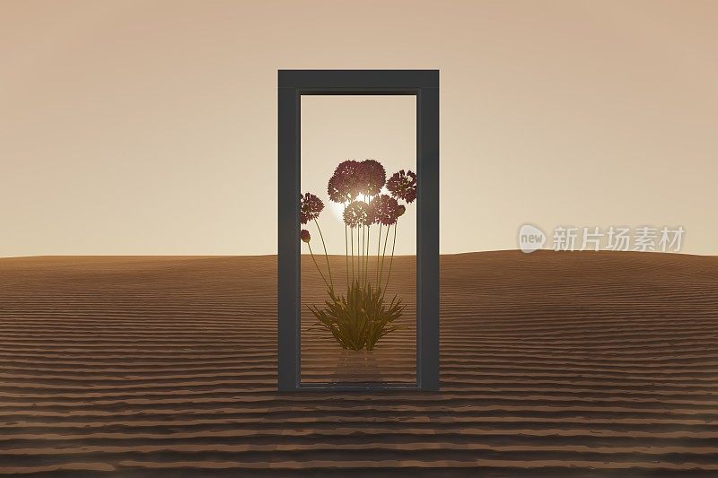 沙漠上开着一扇门，开着一朵美丽的花