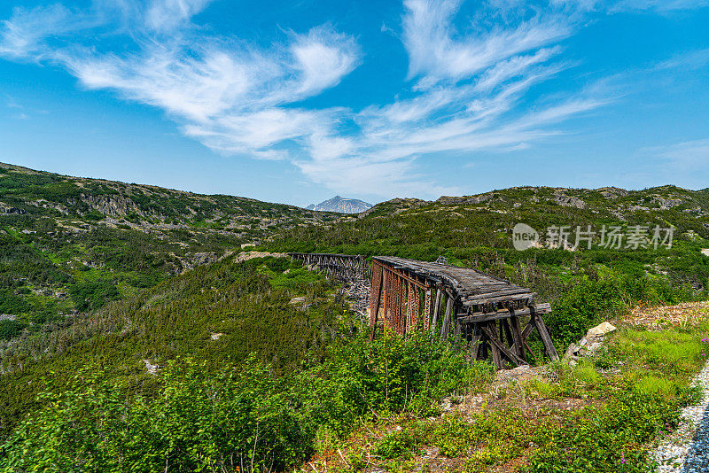 倒塌和废弃的桥梁，白口山顶游览火车在山区，阿拉斯加，美国。