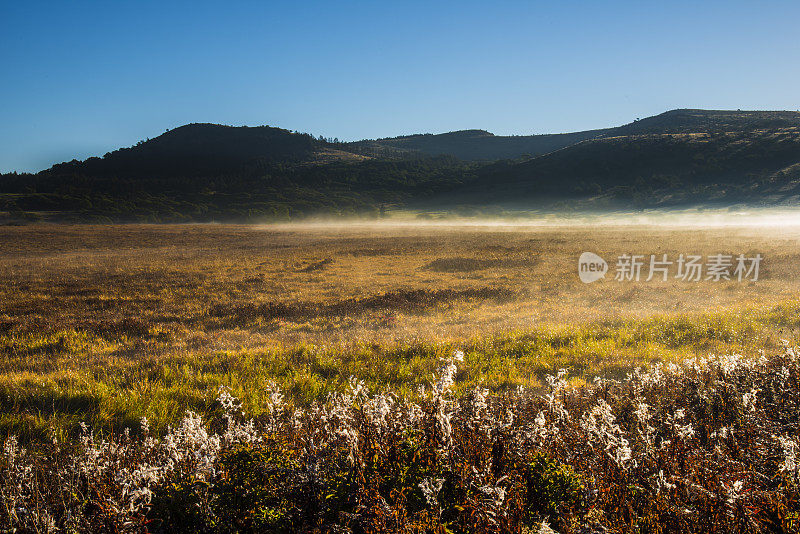 日本长野县，Kirigamine高原，清晨薄雾飘散的秋天的八镜原沼泽地
