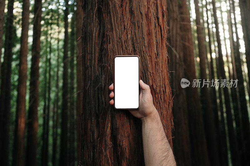 森林里的智能手机屏幕一片空白