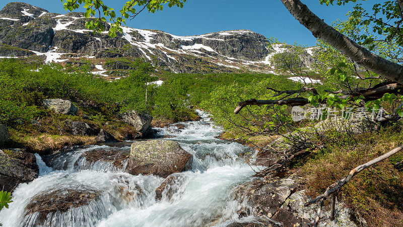山景与奔流的溪流。Setesdal，挪威南部Valle镇附近