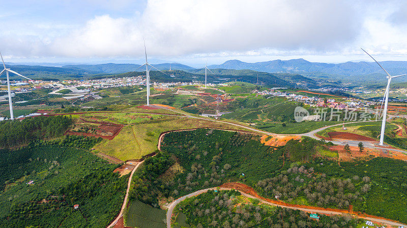 清晨美丽的风景，在大叻市，林东省。风吹茶山上，晨景山坡上茶树下