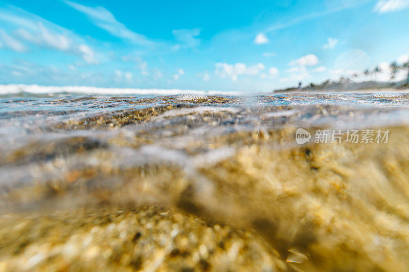 海洋风景优美，水下有海天浪，海滩有佛罗里达棕榈滩