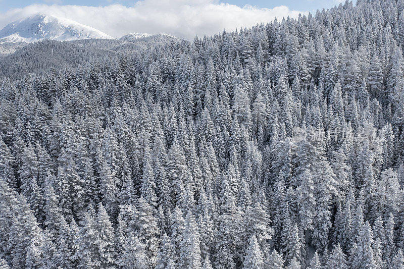 无人机拍摄的雪山4K视频鸟瞰图
