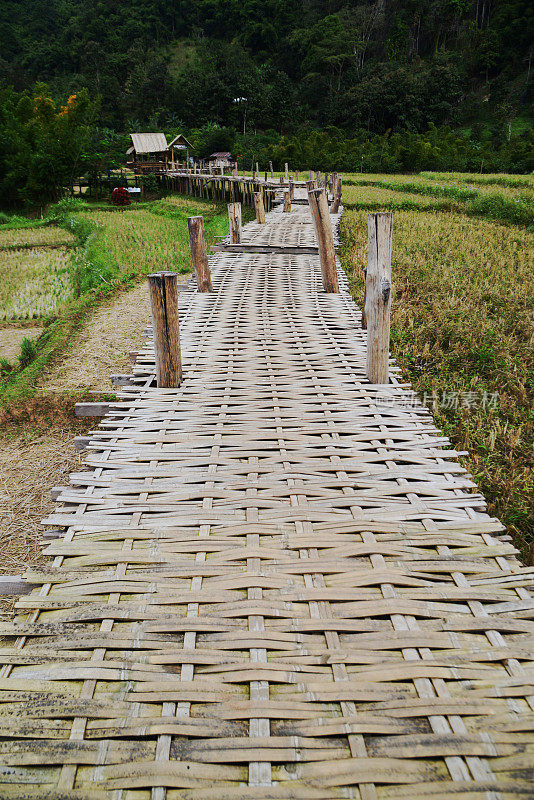 风景秀丽的竹桥向村望去。穿过稻田中间是一个美丽的自然之地。
