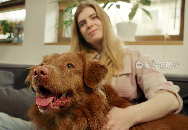 一位女士和心爱的宠物狗新斯科舍省鸭鸣猎犬一起躺在沙发上，愉快地抚摸着它