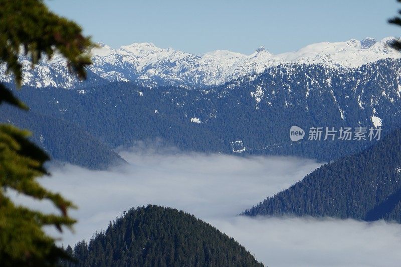 冬天的风景