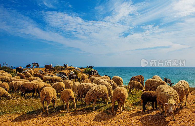 海滩和岩石在葡萄牙阿尔沃在夏末太阳的海景图像