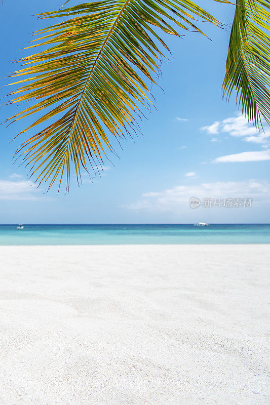 热带海滩沙复制空间场景