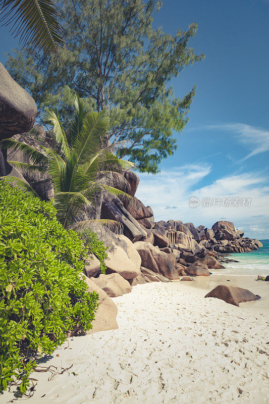 热带海滩塞舌尔群岛，印度洋
