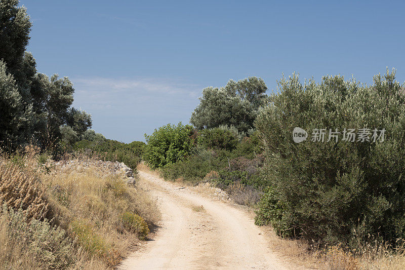 希腊希俄斯岛上的一条乡间小路