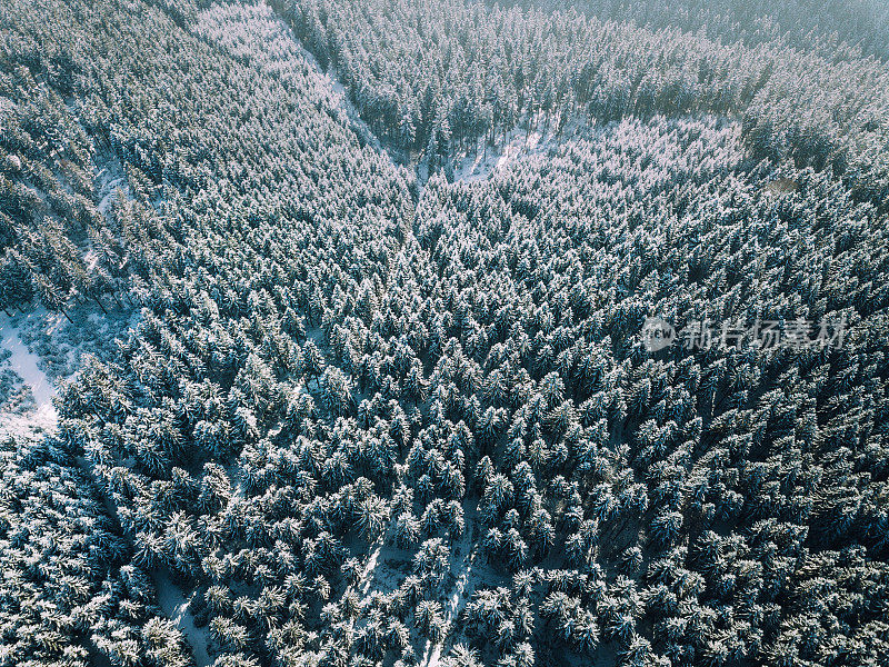 从空中可以看到美丽的冬季景色，冰冻的森林