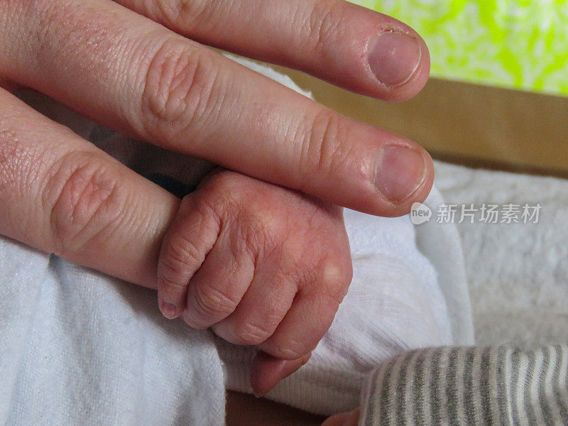 新生儿的手触摸着父亲