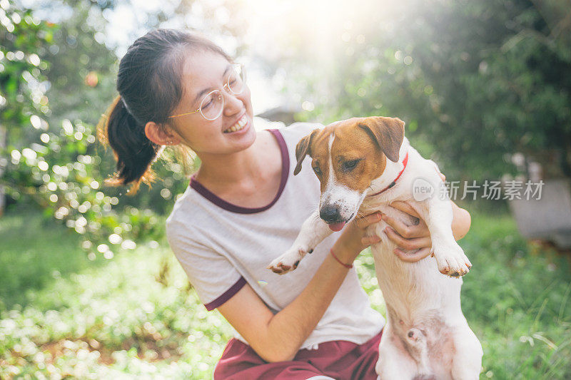 亚洲家庭十几岁的女孩玩好玩的她的宠物杰克罗素梗狗在花园在夏天的早晨