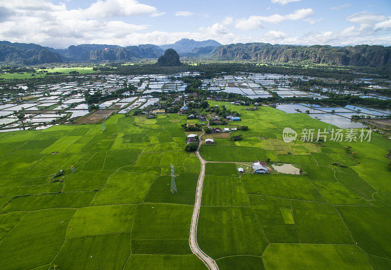 印度尼西亚南苏拉威西岛拉曼拉曼附近的马洛斯山谷的稻田。