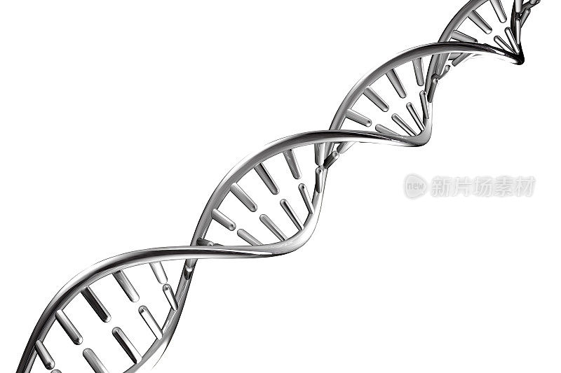 白色背景上分离出的银色金属DNA