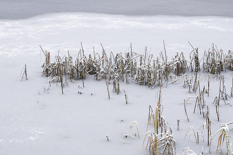 结冰的池塘或冬天被雪覆盖的小湖