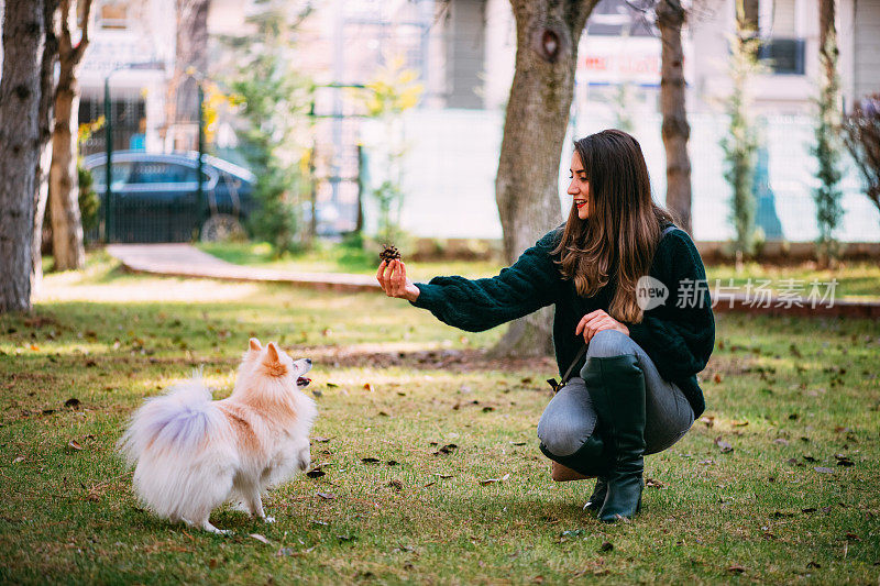 博美犬和美丽的主人玩耍