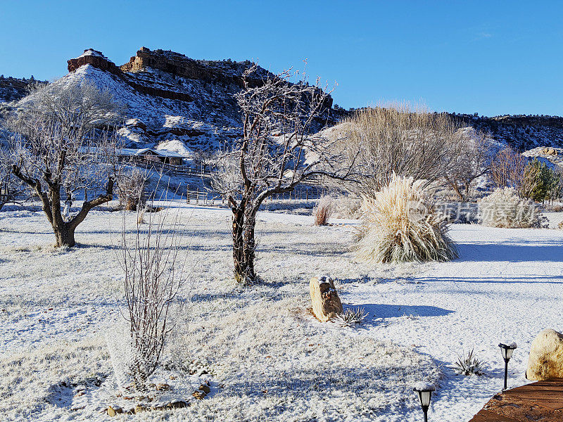 新雪沿草地和果园格拉夫顿路下南梅萨在犹他州洛克维尔和前院的观点