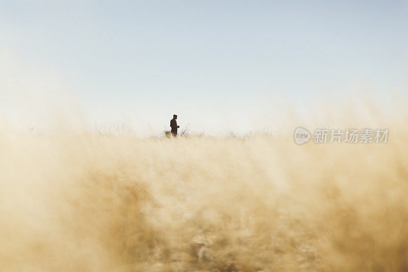 一个人在博茨瓦纳的大草原上