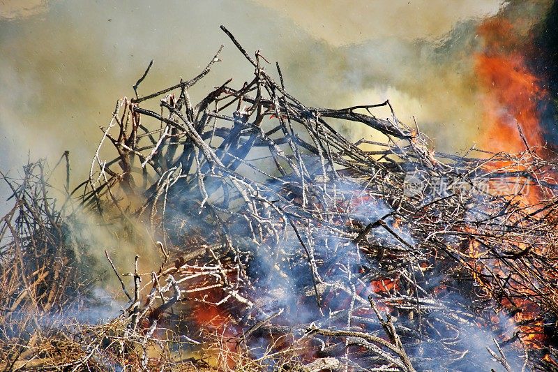 乡村场景中火被控制燃烧