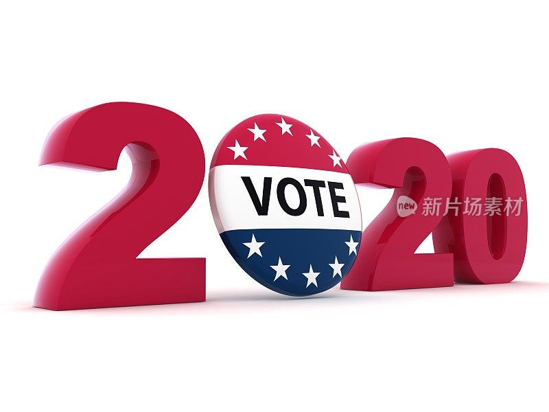 美国2020年大选投票徽章