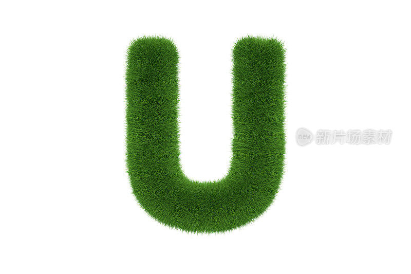 字母U和草的大写