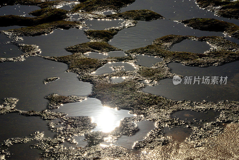 低潮海床-风化坑-帕莱索海滩，卡沃埃罗，阿尔加维，葡萄牙