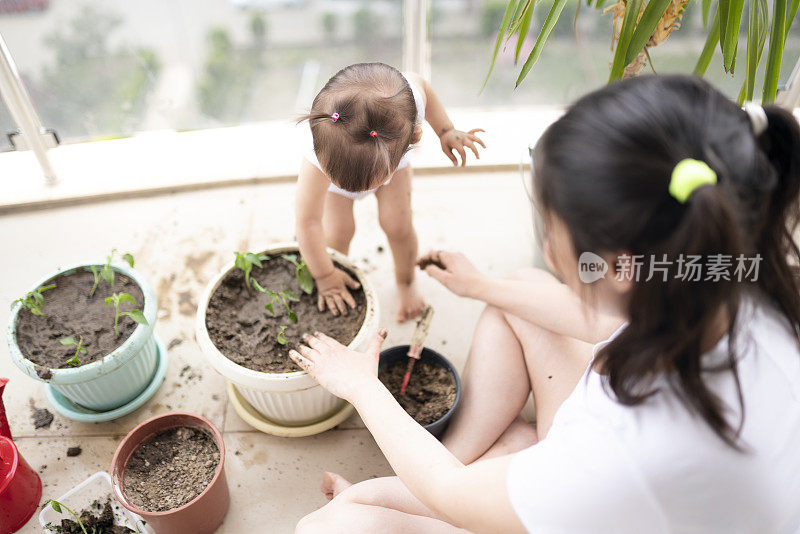 年轻的妈妈和她可爱的小女儿在自家阳台上种花