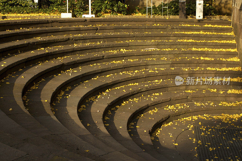 弯曲的楼梯充满了秋天的银杏叶