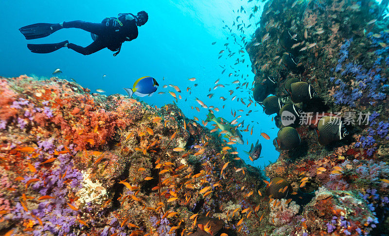 戴水肺的潜水员探索珊瑚礁