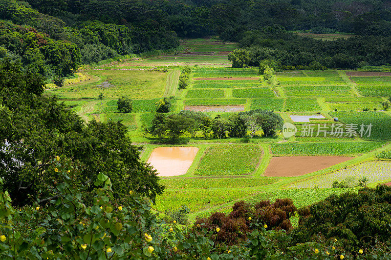 哈纳雷山谷位于夏威夷考艾岛