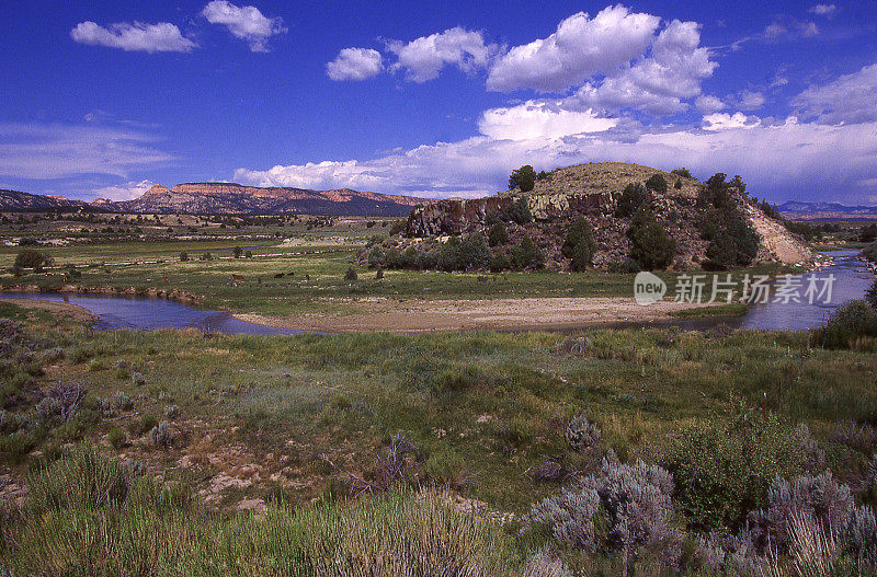 犹他州塞维尔河谷的山艾树和绿色牧场