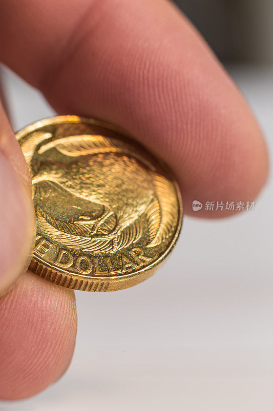 手拿一个新西兰一美元硬币