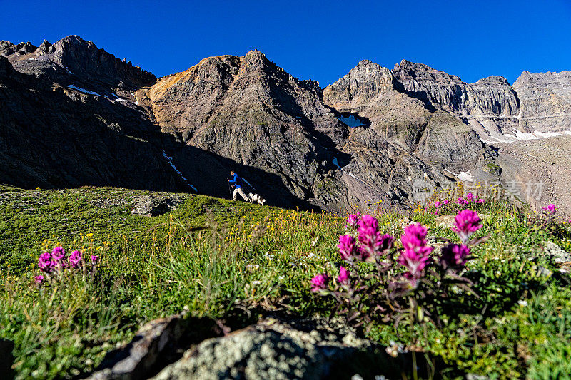 男人和狗在风景优美的山上徒步旅行