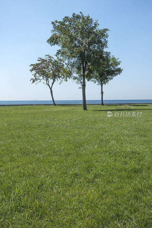 海边公园景色绿草如茵