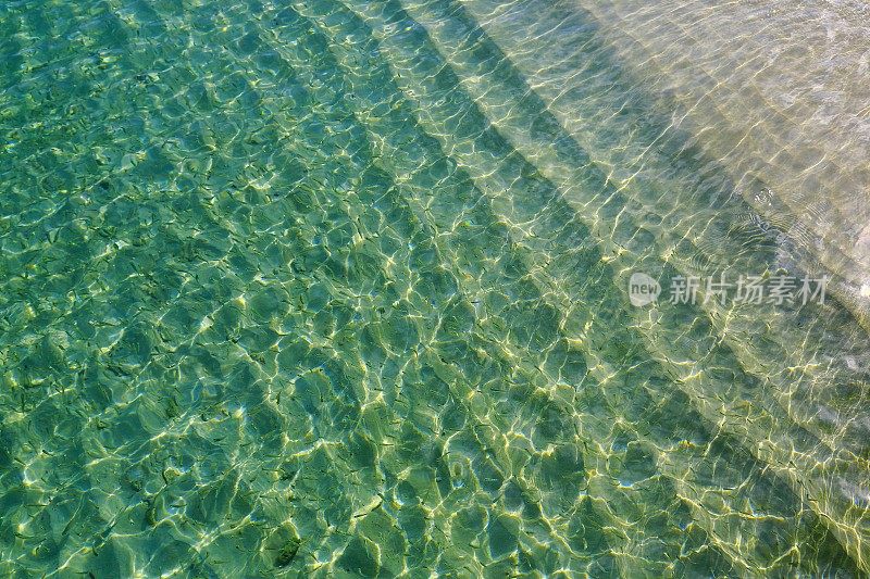 田园诗般的水晶海滩，鱼类学校-加勒比海，阿鲁巴