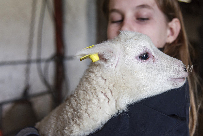 小女孩安慰被母亲遗弃的羔羊