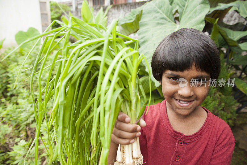 孩子自豪地在社区菜园里收获蔬菜。