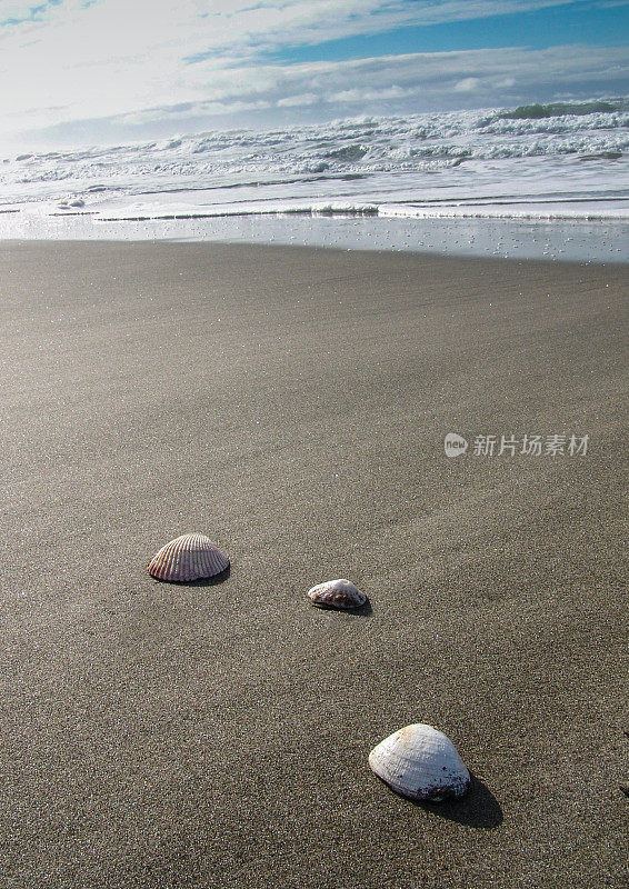 风暴过后，海滩上的宝藏