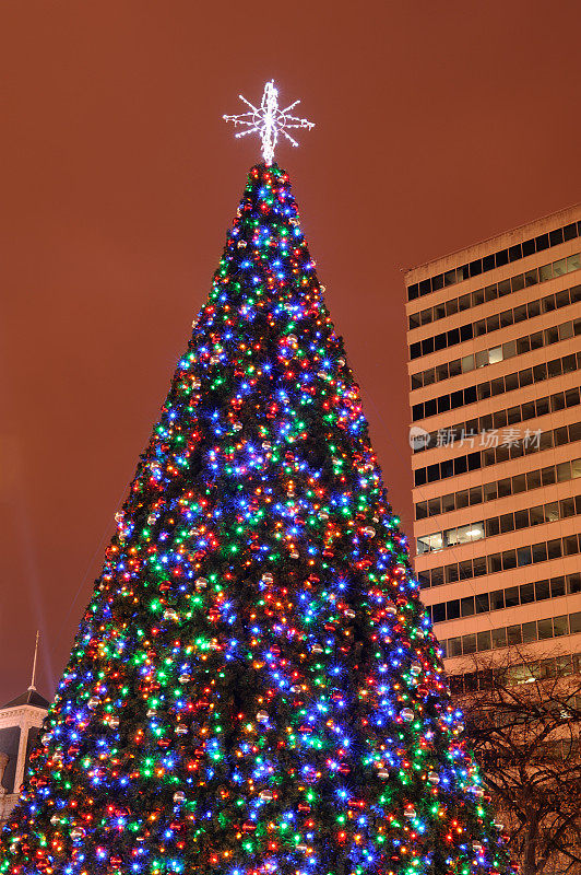 费城市中心的圣诞树