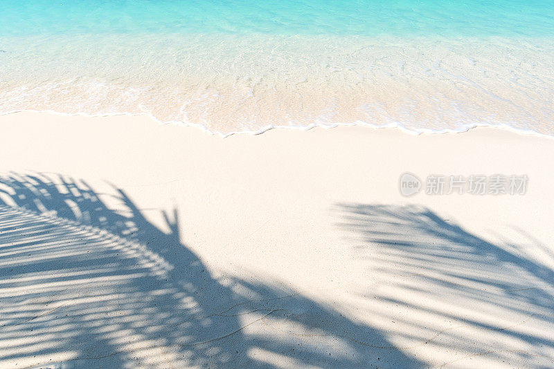 夏天海滩背景