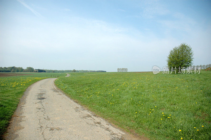 乡村公路农田比利时