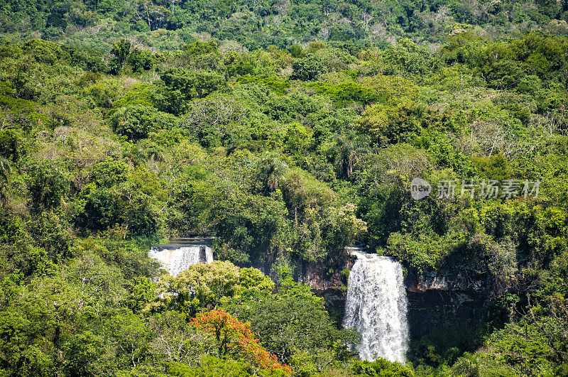美丽的伊瓜苏瀑布位于巴西和阿根廷的热带地区