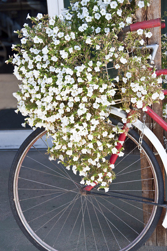 鲜花，篮子和自行车