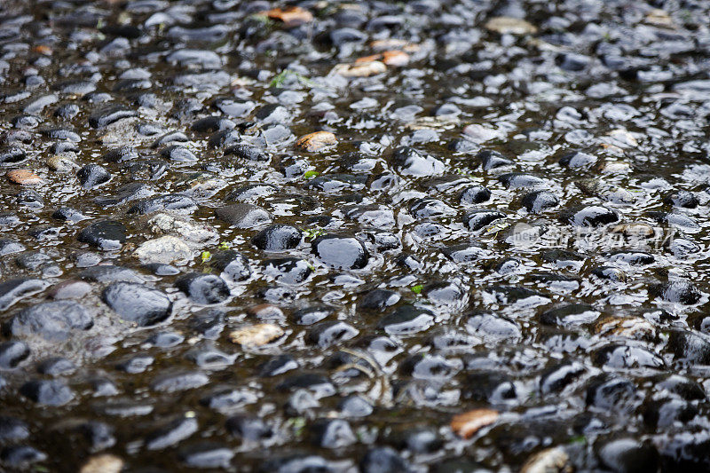 流水下光滑的岩石