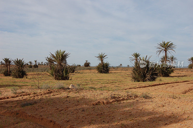 Souss-Massa、摩洛哥