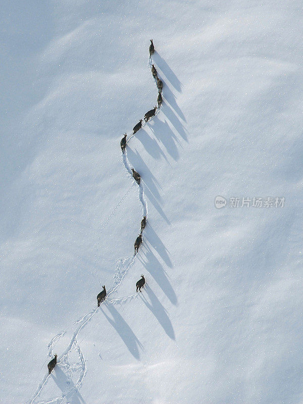 麂雪路