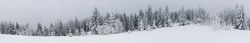 雪全景视图